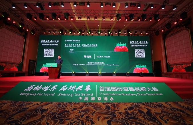 溧水经济总量_溧水经济开发区